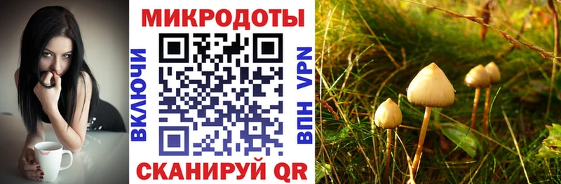 Галлюциногенные грибы Psilocybe  Остров 